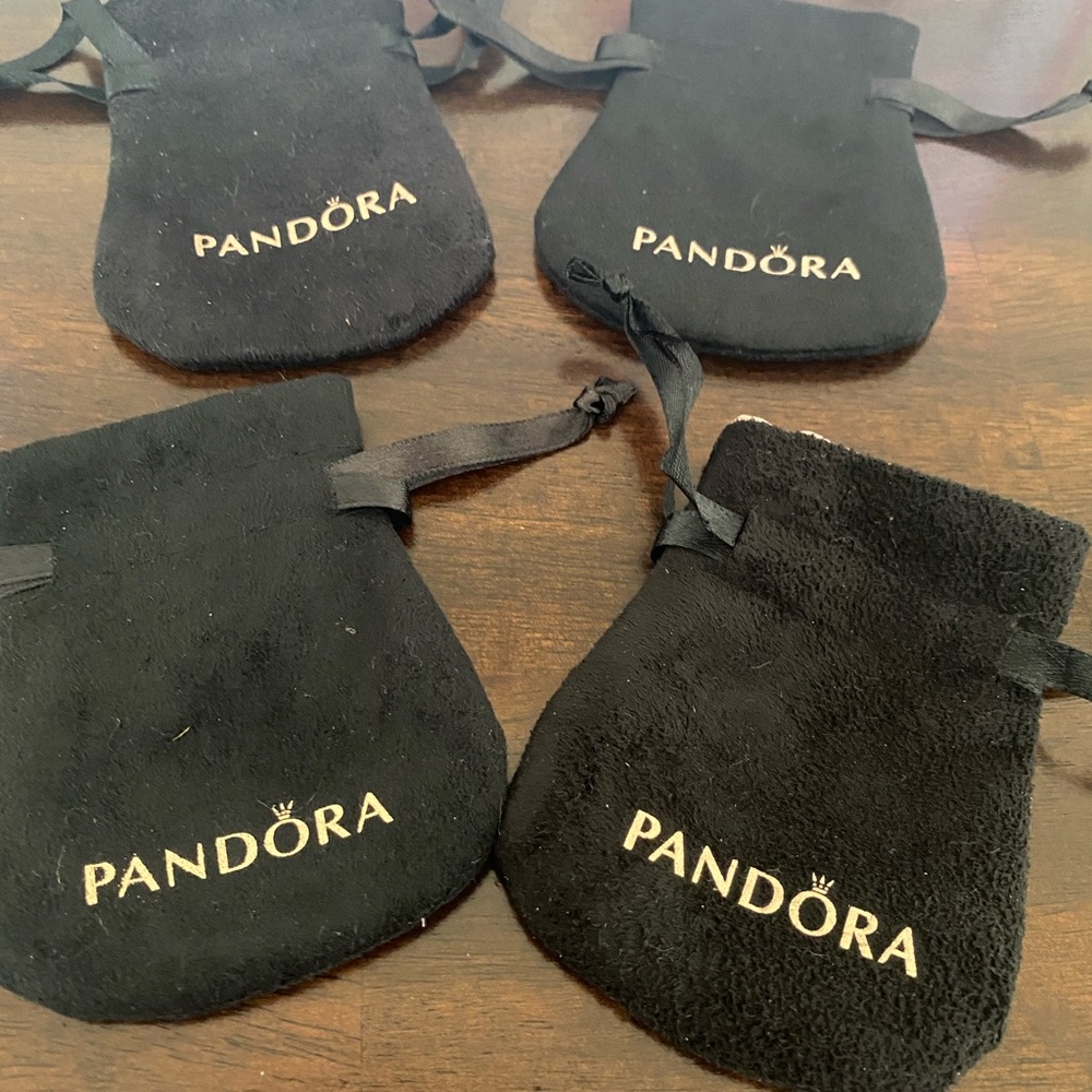 Pandora Bag Charm